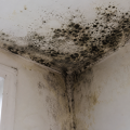Tenant Awarded £5,000 After Living With Damp, Mould and Disrepair for Years