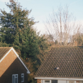 damp and mould uk houses